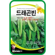 날개콩 씨앗 드래곤빈 30립 윙드빈 Winged bean 콩 텃밭가꾸기 채소키우기