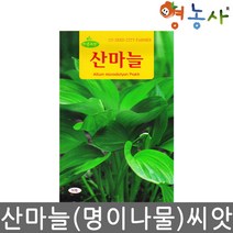 산마늘 명이나물씨앗 50립