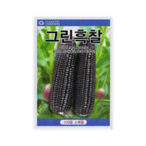 그린 흑찰옥수수 100립 진한 흑색의 모양과 맛이좋은 흑찰 옥수수 그린하트바이오