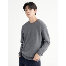 BEANPOLE 남성 그레이 울 라운드넥 니트 BC1851O033