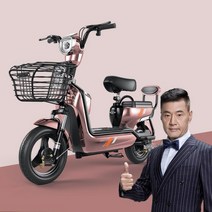 DG-JS 성인 전동차 전동 스쿠터 2인승 여성 조력 레저대보차 전기자전거, 블랙