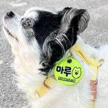 주문제작 강아지 야간산책 LED 목걸이 인식표 네임택 형광 네온 야광 이름표 (양면자수), 형광노랑+검정글씨