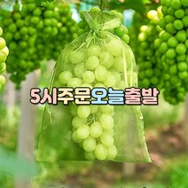 럭키WORLD 과일 열매 보호망 10장, 20cm*30cm, 빨강, 10개