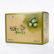 햇살담은 무안 양배추즙 120ml 50포/100포, 01_양배추즙 (120ml X 50포)