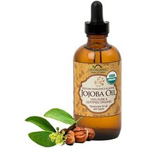 일본직발송 6. US ORGANIC 【AMAZON.CO.JP 한정】 유기농 호호바 오일 (골든) USDA 인정 (120ML) B01DPJWL, 120ML X 1, One Color