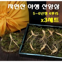 경성건강원 산양삼 생산양삼 자연산 산양산삼 뿌리 잎 6년생 정품 사포닌 면역력 국내산 강원도 쥬스 씹어먹는 쉐이크 식사대용 부모님선물 먹는법, 3세트, 4뿌리