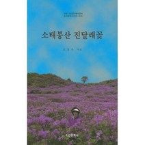 밀크북 소태봉산 진달래꽃, 도서