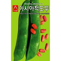콩씨앗 아시아 적도두 작두콩(50g), 단품