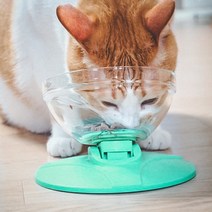오렌지 고양이 강아지 공용 유리 밥그릇 물그릇 식기, 하양