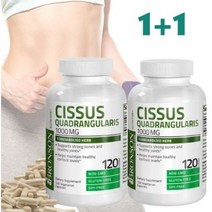 1+1 미국 브론슨 시서스 시저스 씨서스 추출물 분말 가루 캡슐 1000mg 240정 4개월분