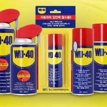 염분 부식방지 배엔진 녹방지 스프레이 방청제품 차량녹제거 기름칠 세정 자전거보수, WD 40 SS(450ml)