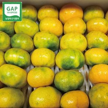 GAP인증 제주농원 하우스감귤 소과 5kg하루 100박스, 2.귤 5kg, 100개