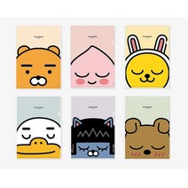 (디머스) 카카오프렌즈 L자 홀더 ㄱ자 화일 낱장 화일 10장입, 라이언