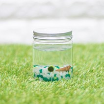 미니가든 플틴(소) 마리모 DIY SET, 색돌8.파랑믹스