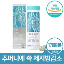 체지방감소 가르시니아캄보지아 가르니시아 고함량가르시니아 무수바바로인 판토텐산 84정