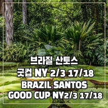 (커피생두) 21 브라질 산토스 굿컵 NY 2/3 17/18 500g