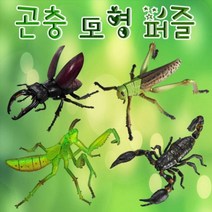 집콕놀이 곤충 모형 퍼즐 1개, 전갈