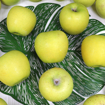 황옥사과 시나노 골드 사과 경북 사과 산지직송, 3kg 정품 중대과(7-10과 내외)