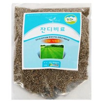 MDG3627 정원 묘지 잔디비료 잔디전용 인산칼슘 잔듸 비료 (질소비료/인산비료/잔디영양제/양잔디)