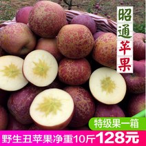 지금 따기 운남 Zhaotong 야생 못생긴 사과 바위 사탕 심장 희귀 과일 신선한 바삭 달콤한 큰 과일 전체 상자 10 catties, 2.  10캐티, 3.  90mm(포함)-95mm(포함되지 않음)