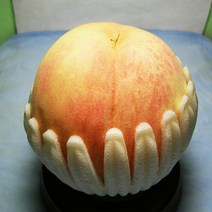 복숭아나무 묘목 백도복숭아 경봉 접목1년 뿌리 특묘 3개
