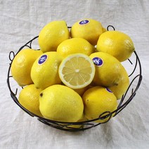 핫한 레몬최저가 인기 순위 TOP100