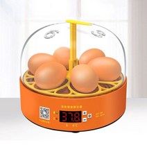 스마트 병아리 부화기 6매 자동전란 투명뚜껑, 6구 병아리 부화기