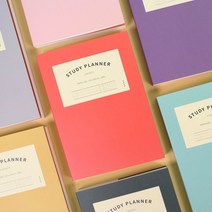 건망증 더메모 정석 스터디플래너 수능 체크 투두리스트 일일업무일지 공부 하루계획표 한달 운동일기 대학생 100일, 핑크