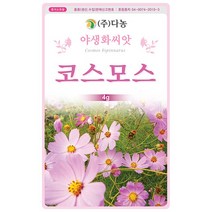 다농 코스모스 씨앗 4g 야생화 씨앗