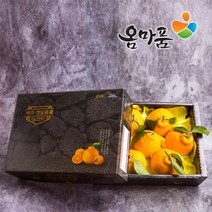 [옴마품]특고당도 제주 한라봉 4.5kg특대과(10-15)-선물용포장