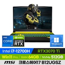 [사은품 증정!] MSI 크로스헤어17 B12UGSZ 12세대 고사양 배그 롤 게이밍 노트북 (코어i7-12700H/RTX3070Ti), CROSSHAIR 17 B12UGSZ, 윈도우 포함, 64GB, 512GB, 코어i7, 블랙