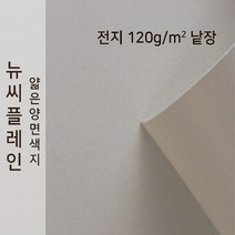뉴씨플레인 종이문화 얇은 양면색지 120g 전지 낱장 1매 No.54 백옥색, 1장