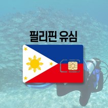 필리핀 유심 LTE 완전무제한 5일 6일 세부 보홀 보라카이 마닐라 여행 유심칩, 글로브 2GB, 10일
