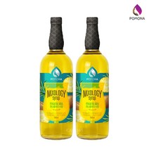 포모나믹솔로지 피나콜라다시럽 1000ml 2개세트, 1개