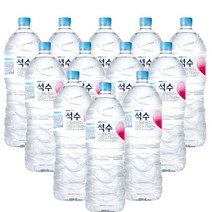 천연 광천수 생수 2L 12개 진로 석수 페트병 미네랄 암반수 대형 먹는 샘물 자취생 대량구매