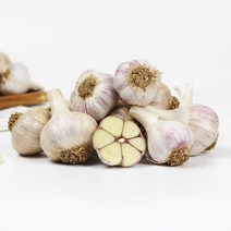 (23년산) 서산농부의 서산 6쪽마늘 3.6cm-4cm(한접/100통) 육쪽마늘 한지형마늘 서산마늘 토종마늘 햇마늘, 100개