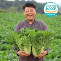[입점특가] HACCP 해남 특급 절임배추, 20kg, 금요일 출고 토요일 도착