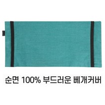 편백나무베개 친환경 피톤치드 국내산 편백나무 큐브 칩 베개완성품 3D에어매쉬 순면 베개커버, 05) 베개커버(페퍼민트)-단일상품