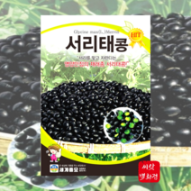 서리태콩 30g 콩씨앗 종자 /검정콩 채소키우기 홈가드닝