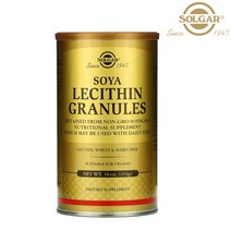 Solgar 솔가 대두 레시틴 과립 454g Lecithin 단일 고도 불포화지방 부모님 가족 남성 여성 직장인 추천