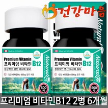 네추럴라이즈 고함량 프리미엄 비타민B12 90정 2통세트 6개월분 비타민B 군 알약 대용량 비타민b군 비타민 비타민B12 엽산 대사에 필요 영양제 보충제 선물 세트 수용성 비타민제