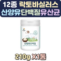 초유단백질 다이어트쉐이크 아침식사대용 식물성단백질파우더 405060대 산양유분말 분유체험 19종유산균 편의점단백질음료 스틱분유 액상단백질 산양 살찌는음식 단백질음식 산양초유