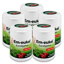 엠오이칼 유칼립투스 캔디, 40g, 5개