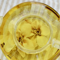 목련꽃차효능 콧물 멈추는법 산목련 자목련 비염 수면에 기관지 좋은차, 목련꽃차2호 20g