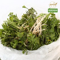 [태안직송] 안면도 황토 흙냉이 세척냉이 500g/1kg, 흙냉이 500g