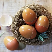 계란30 구매률이 높은 추천 BEST 리스트