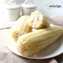 우리가스토리 탱글탱글 냉동 삶은 백찰옥수수 18개 외 황찰 옥수수 찰옥수수, 백찰옥수수 12개(18~20cm내외)-1봉