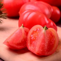 미담 단단한 찰토마토 5kg 10kg, 10kg 4-5번과 소과, 1box