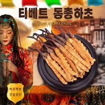 티베트 야생 동충하초 피로회복, 2g
