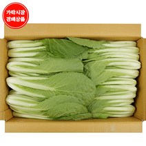 [가락시장 경매 식자재 채소] 솎음배추 4kg내외/box